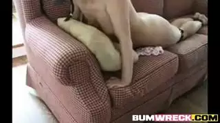 فانتازيا العبودية الإباحية: جوارب، قيود، وجنس على الطاولة