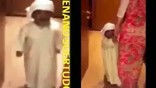 حصان قزم مع حريم