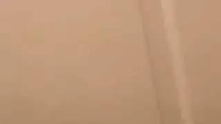 الهرة الطبيعية صديق