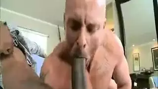 جالي كاش