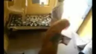 قذر عرقي دور اللعب